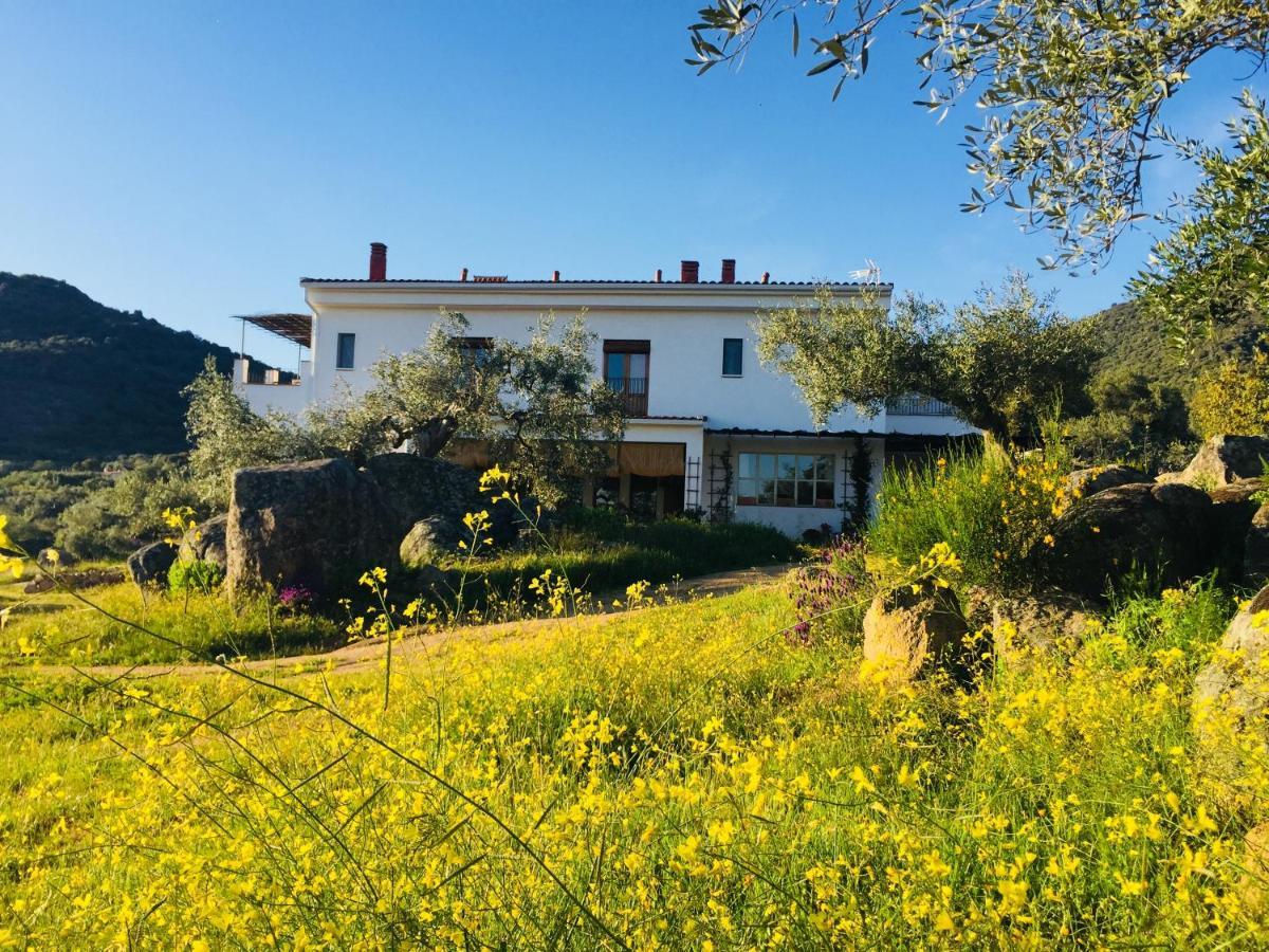 Flores Amarillas B&B Almoharín エクステリア 写真