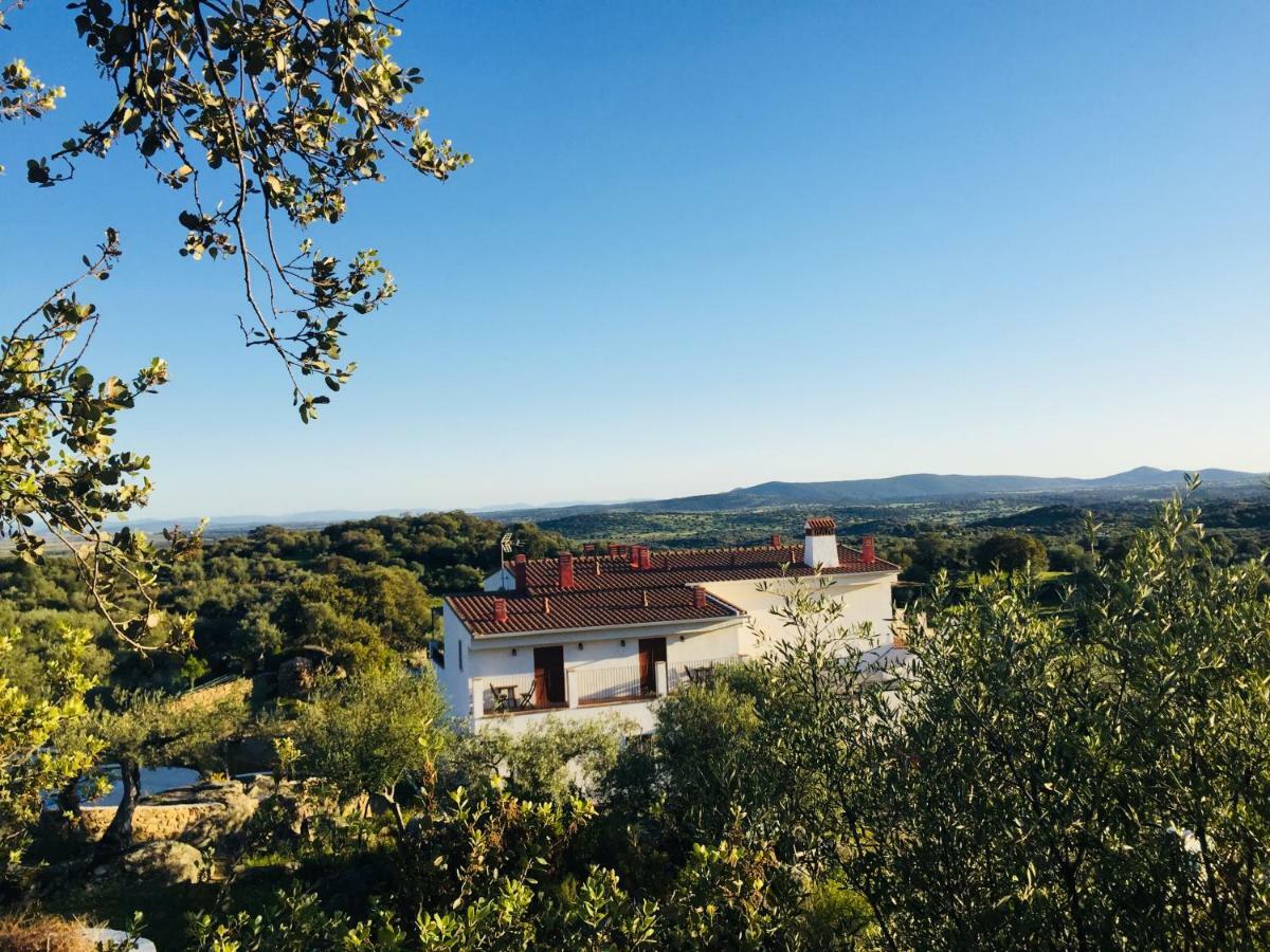 Flores Amarillas B&B Almoharín エクステリア 写真
